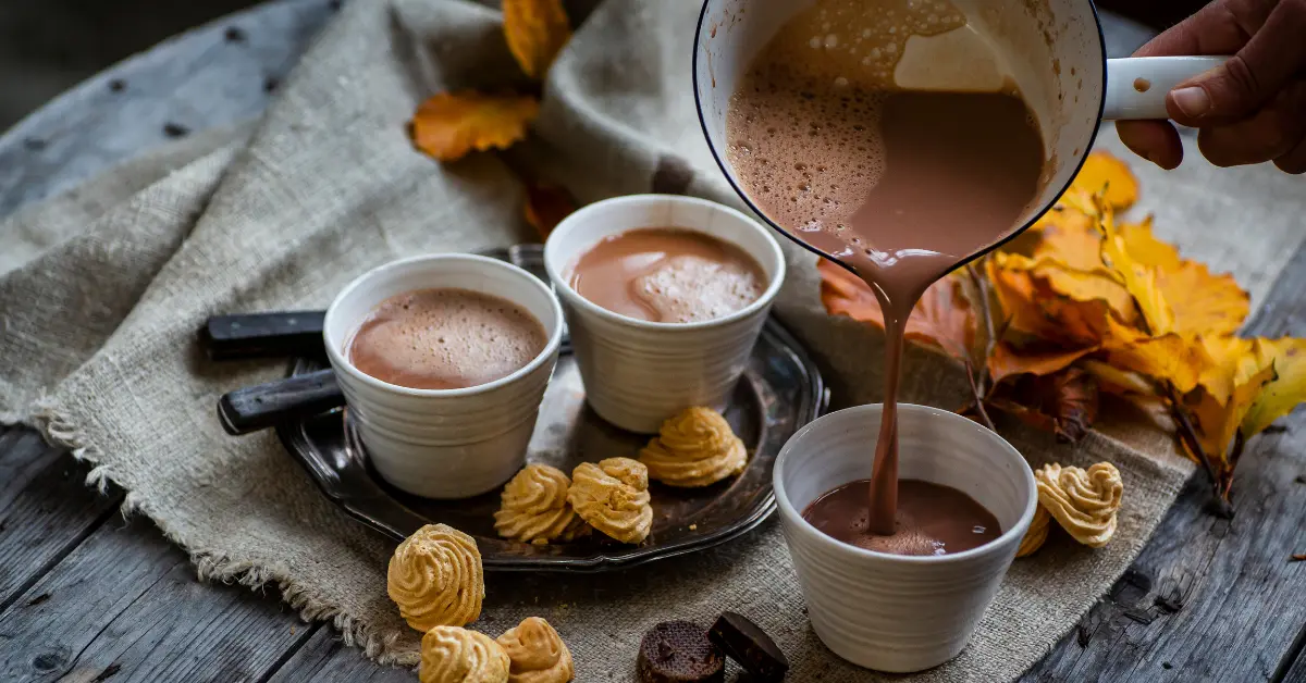 Hot Chocolate Recipes | Guilt-Free | Sugar-Free | INFORMEIA