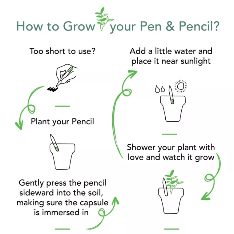 Plantable Seed Pencils - Made With 100% Recycled Paper - Image 4