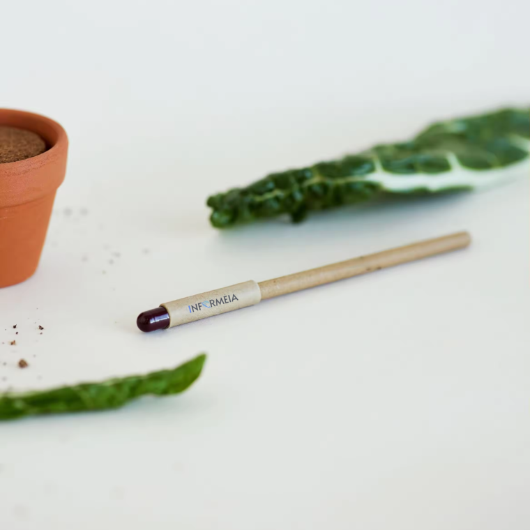 Plantable Seed Pencils - Made With 100% Recycled Paper - Image 2