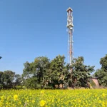 A telecom tower rising above trees and a mustard field in rural India