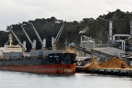 Cargo ship unloading raw sugar at a port refinery, representative image