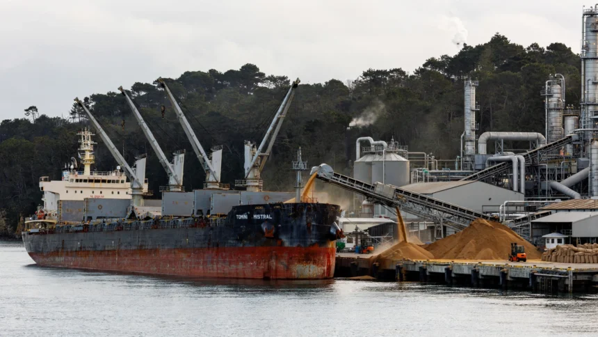 Cargo ship unloading raw sugar at a port refinery, representative image