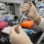 A researcher in a biotechnology laboratory using a pipette with micro test tubes. AI image grounded in a real public-domain laboratory photo by Maggie Bartlett, NHGRI.