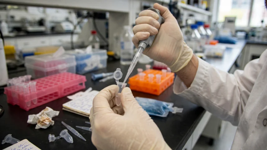 A researcher in a biotechnology laboratory using a pipette with micro test tubes. AI image grounded in a real public-domain laboratory photo by Maggie Bartlett, NHGRI.
