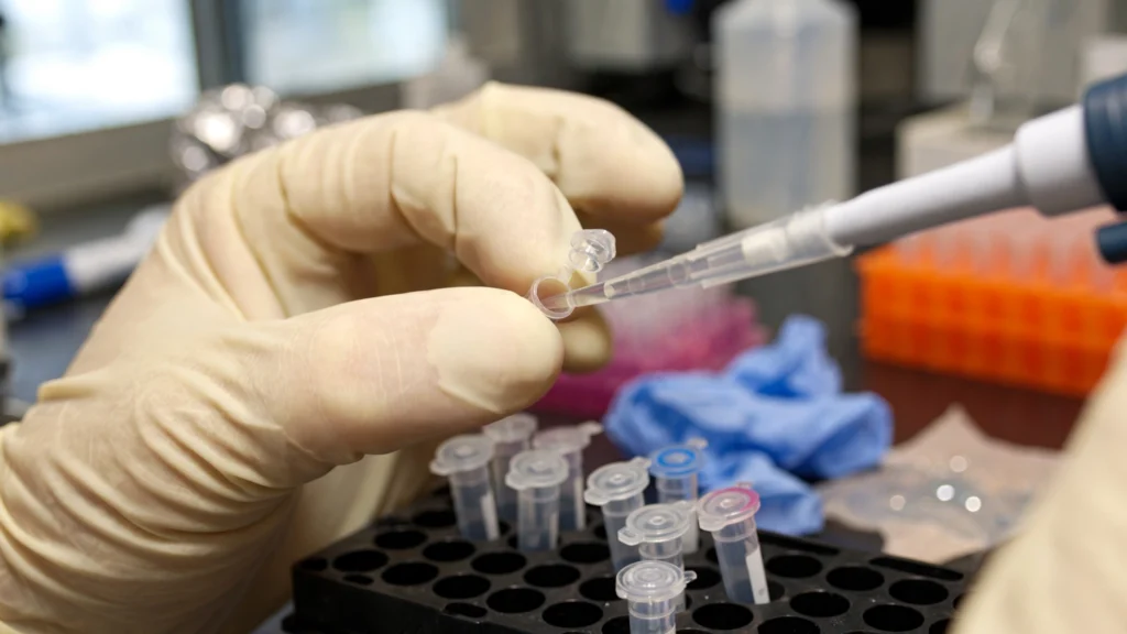 Gloved hands using a pipette over micro test tubes in a biotechnology laboratory.