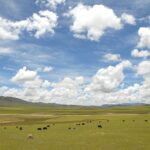 Tibetan plateau near Nagqu, Tibet. File photo: Luo Shaoyang / Wikimedia Commons (CC BY 2.0)