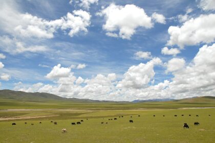 Tibetan plateau near Nagqu, Tibet. File photo: Luo Shaoyang / Wikimedia Commons (CC BY 2.0)