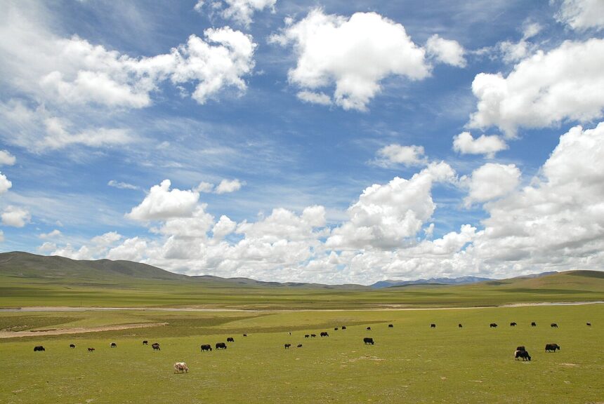 Tibetan plateau near Nagqu, Tibet. File photo: Luo Shaoyang / Wikimedia Commons (CC BY 2.0)